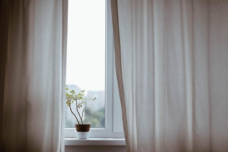 Hanging Plants