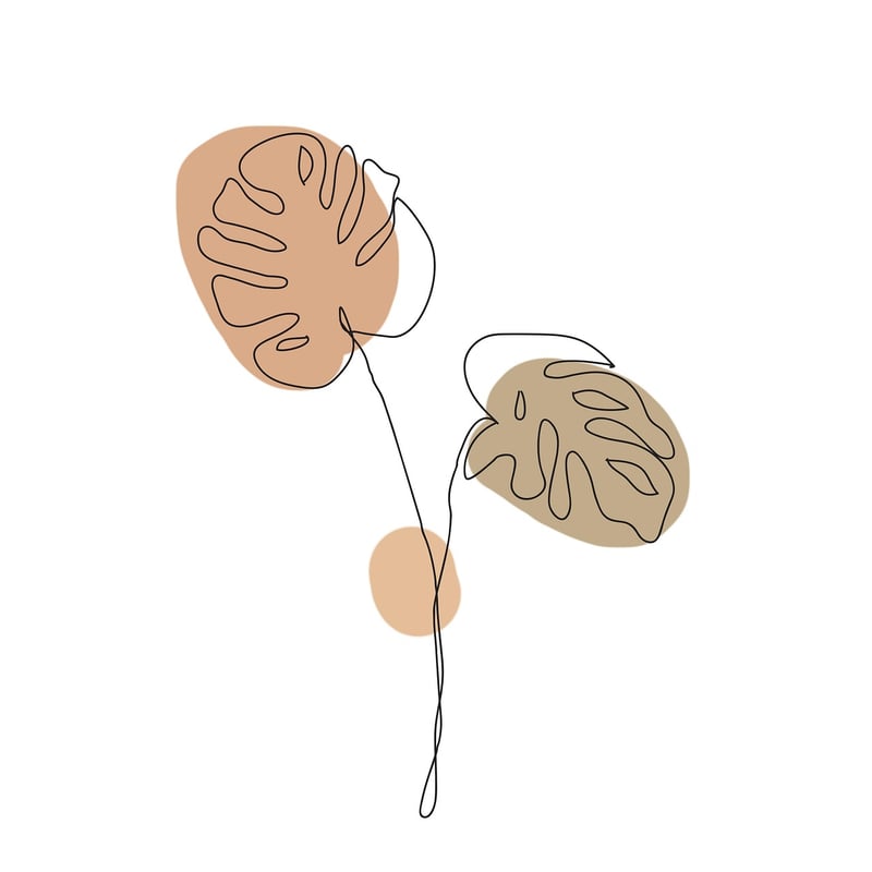 Monstera